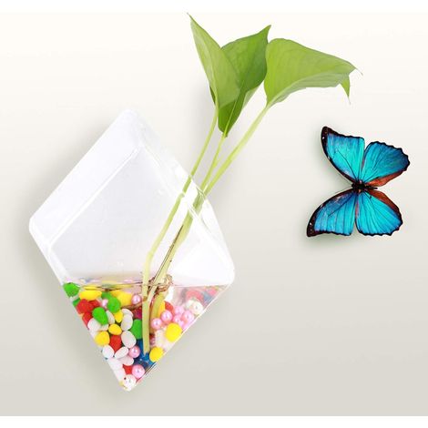 Vase mural suspendu en verre hydroponique transparent (1/5)