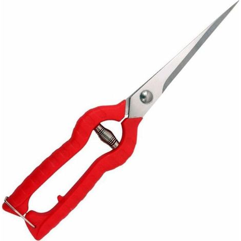 1 Sécateur Lame droite 96mm Acier inoxydable Poignée antidérapante Coupe fruits fleurs Jardinage (1/5)