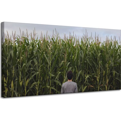 Leinwanddruck Naturmotiv Maisfeld 120x60 cm