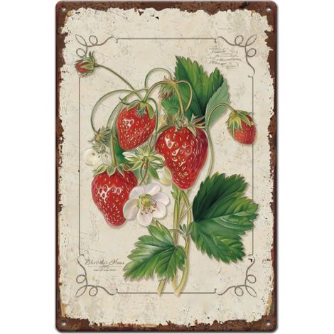 Plaque Metal Vintage de Fraise Décoration Murale Rétro Décoration de Jardin Affiche D'Art Mural Vintage pour Magasin de Fruits Garde-Manger,Chambre à Coucher Chambre de Fille (1/5)