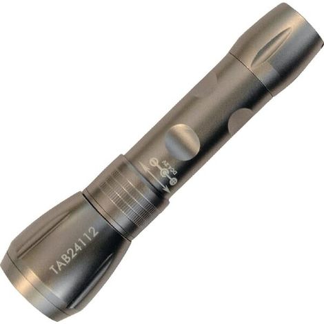 Linterna recargable 12/230 V TAB EM2411 (1/4)