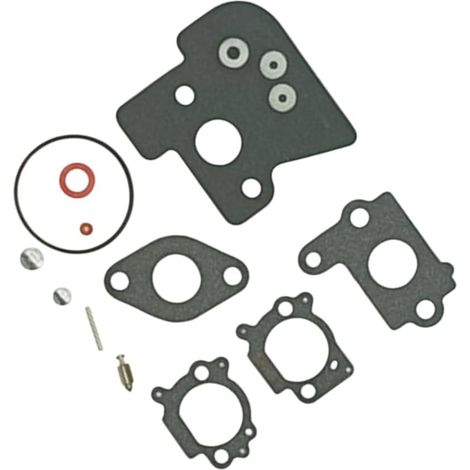 Kit de Réparation Carburateur pour 499685 692703 792383 792385 - Jeu de Joints Haute Durabilité 11C600 111600 Boîte 12 Éléments (1/5)
