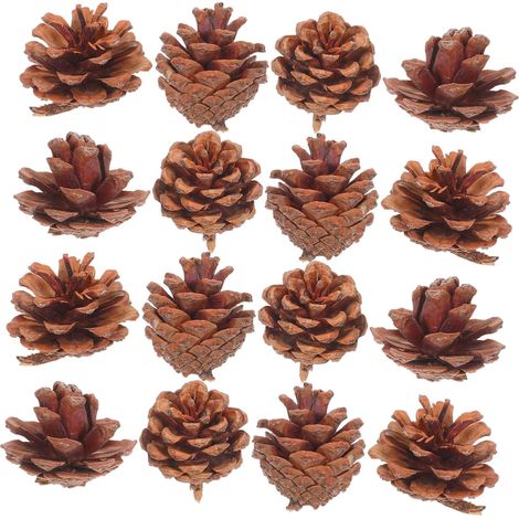130pièces Pommes de Pin Naturelles Miniatures Décorations Saisonnières pour Noël Automne Thanksgiving et Loisirs Créatifs (1/5)