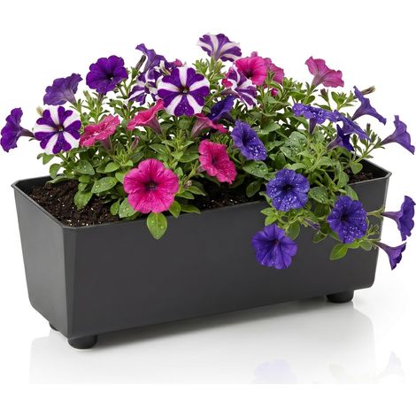 Jardinière Rectangulaire avec Pieds Élégants – Bac À Fleurs Noir en Plastique Robuste 37 x 17 cm, 6L – Résistant Aux Intempéries (1/5)