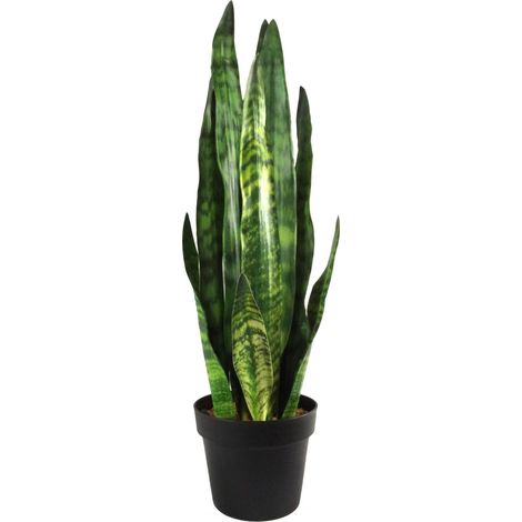 70cm Artificial Sansevieria Zeylanica Plant (1/4)