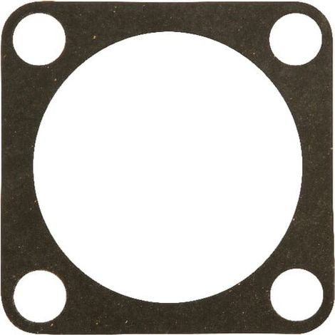 Guarnizione supporto MASCHIO M10100308R
