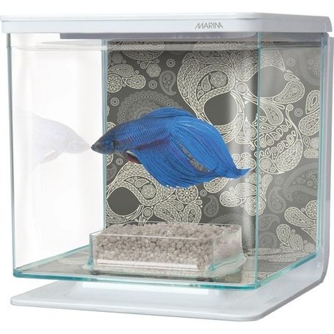 Marina Betta Kit - Craneos