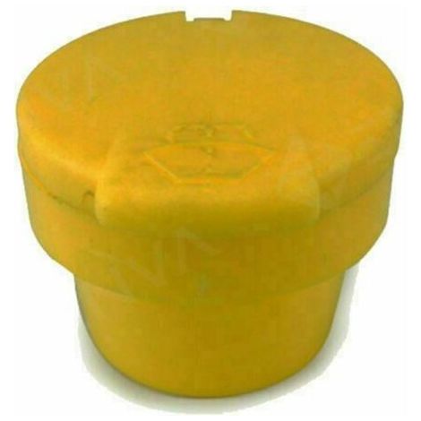 Couvercle de Bouteille de Lave-glace Compatible avec 289130004R (1/4)