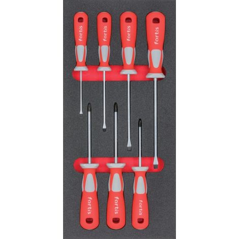 Cacciavite Modulo Utensile Fortis