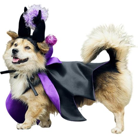 Déguisements De Chien d'halloween Vêtement Cape De Chat avec Corne Costume Chat Halloween Cornes Pour Vos Cosplay À Domicile Fêtes Et Photographie En Extérieur Carnaval Rassemblements Et (1/5)