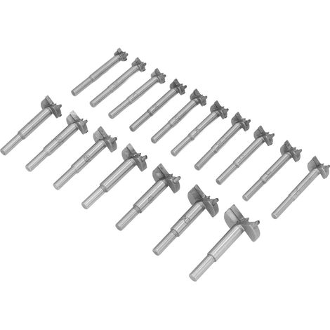 Jeu de 17 scies cloches à bois, kit perceuse trépan pour menuiserie, lot d'outils de coupe rond, diamètres variés, usage professionnel et bricolage. (1/5)