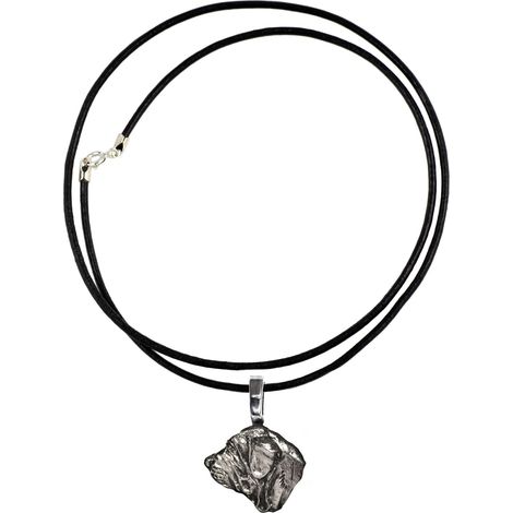 Fila Brasileiro, Mastino Brasiliano - collana con ciondolo placcato in argento per gli amanti dei cani, gioiello discreto di Art-Dog (1/4)