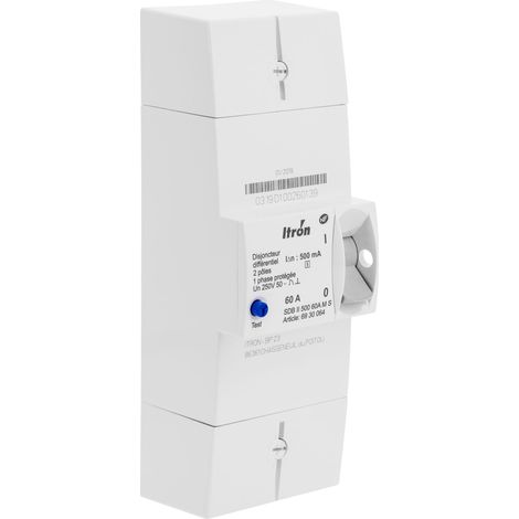 Itron – Disjoncteur bipolaire 60A 230V – Sélectif 500mA – Monophasé pour installation sur platines EDF – Conforme NF C 62 411