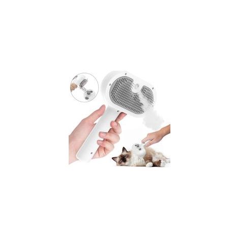 19.5x12x5.5CM Brosse Chien Chat à Vapeur, 2 En 1 Peigne De Massage En Spray Pour Chats, Brosse à Chat Rechargeable, Avec Réservoir D'eau, Brosse Pour Chats à Poils Courts Et Longs, Idéal Pour Massage