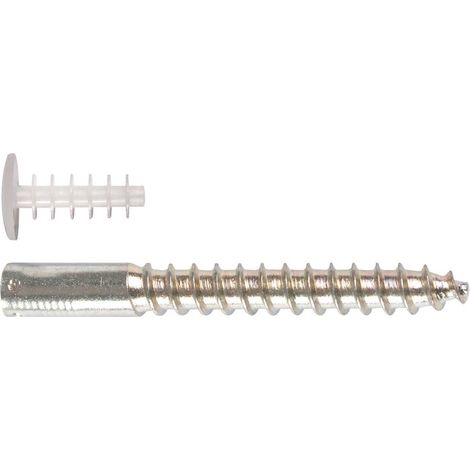 Ing Fixation – Cheville pour scellement chimique Fix-Asphalte – Longueur 100 mm – Diamètre 14 mm – Charge maximale 100 kg – Boite de 25 unités (1/4)