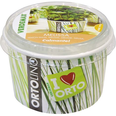 VERDEMAX - ORTOLINO MELISSA