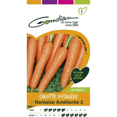 Gondian - Carotte Potagère Nantaise Améliorée 2