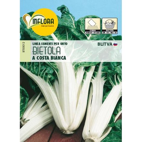 SEMI ORTO "BIETOLA COSTA BIANCA" - CF. BUSTA 1 GR.