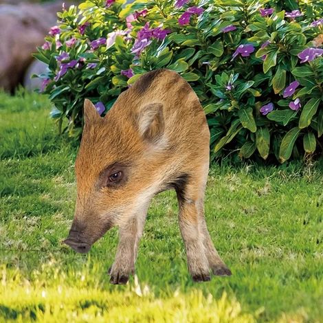 Décoration de jardin en forme de cochon, ornement 2D, figurine de cochon réaliste à planter dans le jardin, idéale pour décorer votre jardin ou votre cour. (1/5)