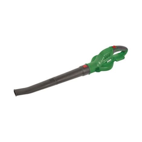Souffleur r-bat20 20v sans batterie ni chargeur (1/5)