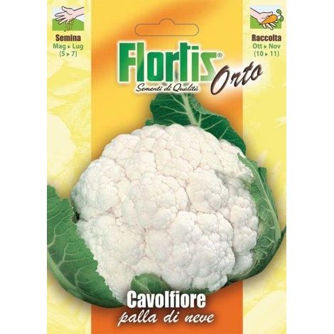 CAVOLFIORE PALLA DI NEVE
