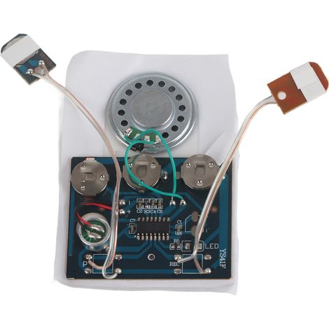 Module sonore musical enregistrable 27s avec pile bouton et double bouton filaire (1/5)