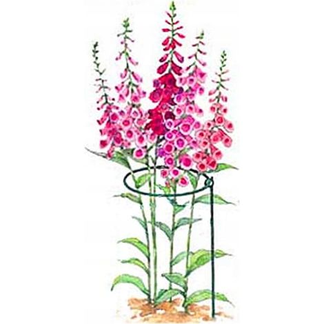 Support pour plante à tige longue 45 x 26 cm vert foncé