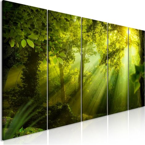 Tableau Imprimé 5 Panneaux "In the Sunshine Narrow" 80 x 200 cm (1/2)