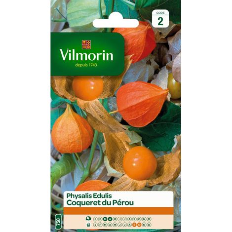 Sachet graines Physalis Edulis