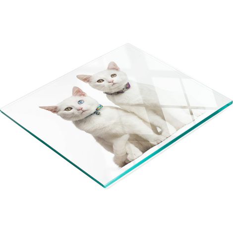 Tablero decorativo multifuncional de vidrio templado con gatos blancos, 60x52 cm