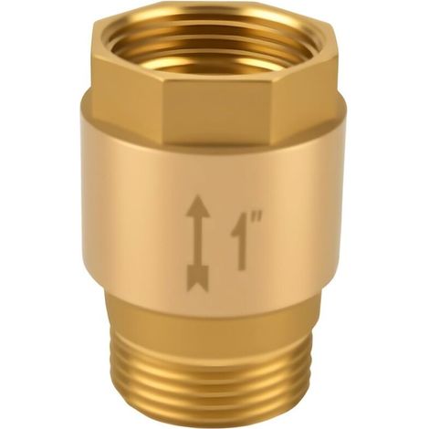 Clapet Antiretour 1", Clapet Antiretour Des Eaux Usées en Laiton, Inoxydable et étanche 1 pouce AG vers IG, pour Pompe à Eau, Pompes de Jardin, Machines à Laver