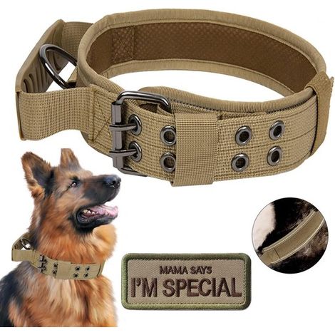Collier tactique pour chien avec poignée - Collier d'entraînement réglable en nylon de qualité militaire avec boucle métallique robuste, adapté aux ch (1/5)