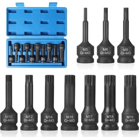 10 Pièces Douille XZN Mâle 1/2", M5, M6, M8, M10, M12, M14, M16, M17, M18, M19, Jeu de Douille Allen avec Boîte, Embouts à Douze Pans en CR-MO (1/5)