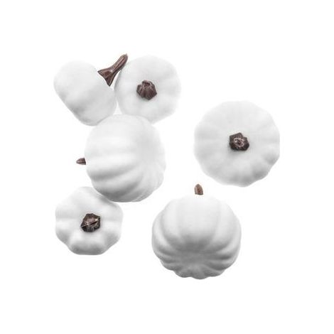 Mini-Kürbisse, 6 Stück, weiß