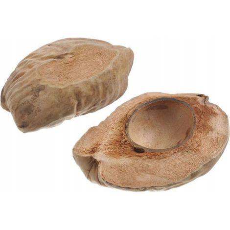 Cuenco decorativo de coco, oblongo, arreglo para armar uno mismo. (1/5)