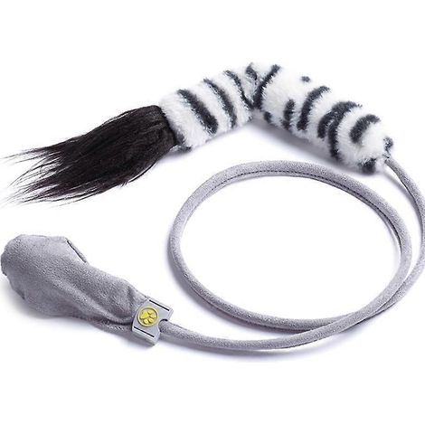 Interaktives, fischförmiges Katzenspielzeug, sichere Zahnrassel zur Zahnpflege der Katze, lustiges und beruhigendes Kauen, Zahnpflege.