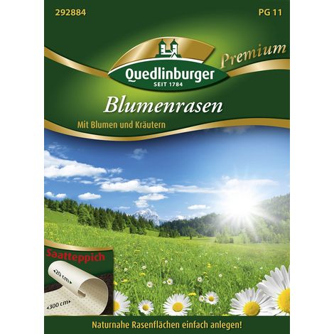 Quedlinburger ST Blumenrasen - Premium Blumensamen (1/2)