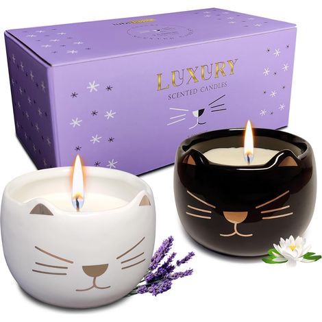 Bougies Décoratives es en Forme de Chat, Coffret de 2 Bougies Parfumées Cadeau pour Decoration Maison o Salon (1/5)