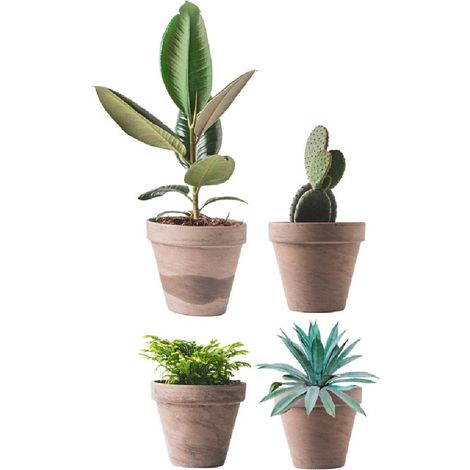 Autocollant de vitre pots de plantes (1/3)