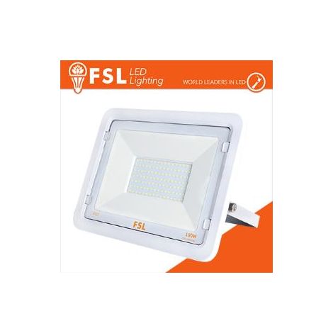 Proiettore per esterni Bianco 100W - IP65 115° 6500K (1/2)