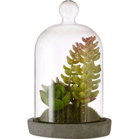 Premier Housewares Fiori Small Succulent Dome with Cement Base (1/5)