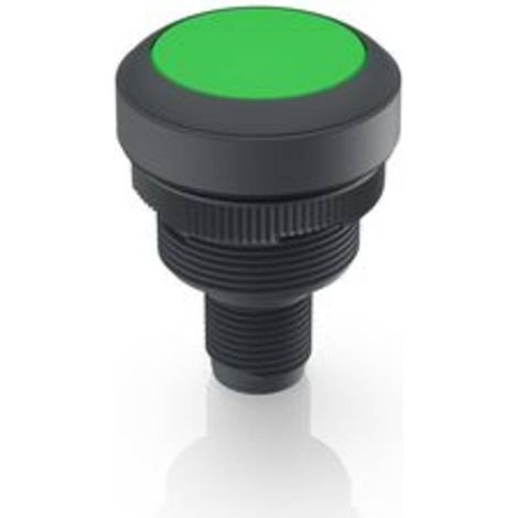 RAFI 1.10.071.001/0551 Voyant lumineux vert 1 pc(s) V303683