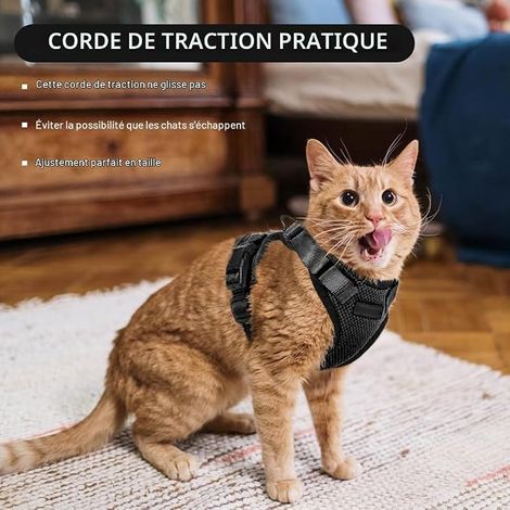 Harnais pour Chat Réglable avec Laisse de Sécurité pour Chats Adultes, Petits, Moyens et Grands, Chiots - pour la Marche et (1/4)