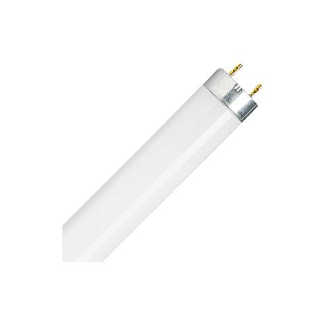 Osram – Tube fluorescent T8 13W blanc chaud – Culot G5 – Flux lumineux 950 lumens – Durée de vie 5000-8000 heures – Efficacité énergétique A