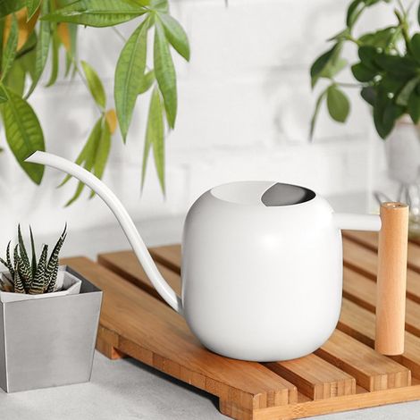 Arrosoir à long bec en acier inoxydable neuf, arrosoir ménager, arrosoir pour plantes en pot, grande capacité, blanc (1/5)