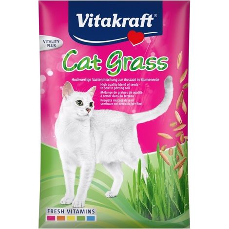 Vitakraft Cat Grass - 50 g de graines d'herbe pour chats, soutien digestif