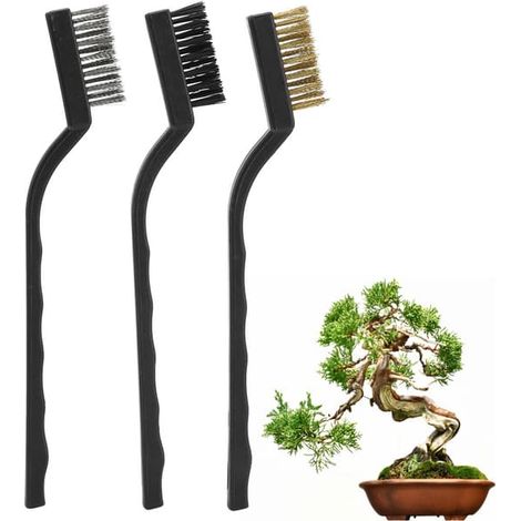 Lot de 3 mini brosses métalliques avec manche en plastique pour le nettoyage des troncs d'arbres, l'élimination des bavures, le brossage des bonsaïs et l'entretien du jardin. (1/5)