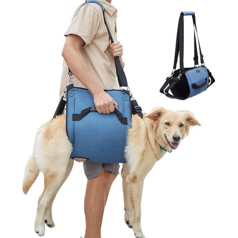 Arnés Para Perro - Arnés De Soporte Completo Para Perros Mayores Y Con Problemas Articulares - Azul - Talla L (1/5)