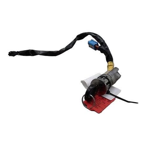 Antivol De Direction PEUGEOT 206 [PRODUIT D'OCCASION]♻️4162z1 (1/2)