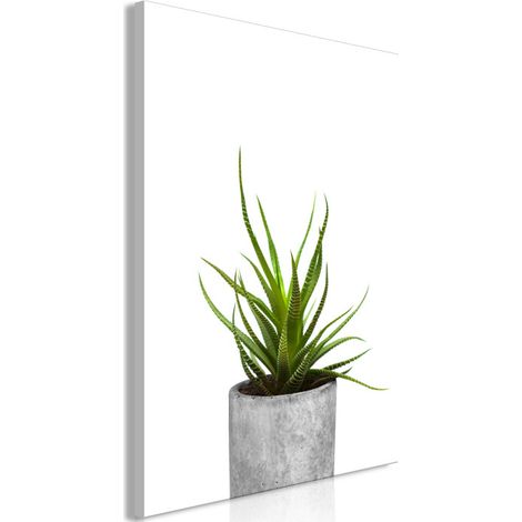 Tableau Imprimé "Haworthia" 60 x 90 cm (1/2)